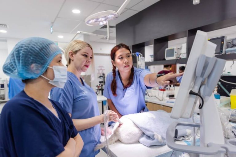 Discover Veshospital.com.sg: Quality Care for Pets Across Singapore